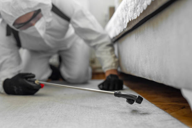 Professional Emergency Pest Control technician working in Kirtland AFB, NM