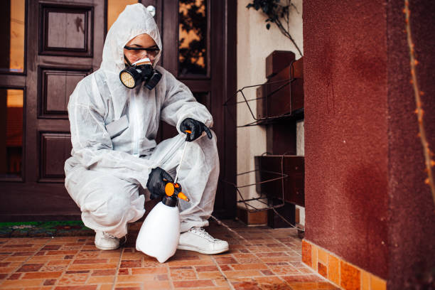 Reliable Emergency Pest Control contractor in Kirtland AFB, NM by Nex Pest Control