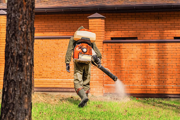 Trusted Cockroach Control service in Kirtland AFB, NM - Nex Pest Control